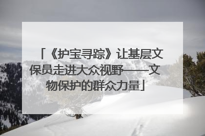 《护宝寻踪》让基层文保员走进大众视野——文物保护的群众力量