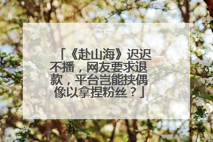《赴山海》迟迟不播，网友要求退款，平台岂能挟偶像以拿捏粉丝？