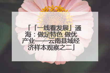 「一线看发展」通海：做足特色 做优产业——云南县域经济样本观察之二