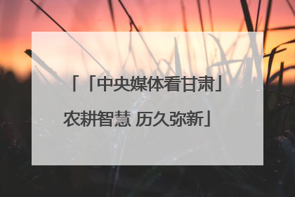 「中央媒体看甘肃」农耕智慧 历久弥新