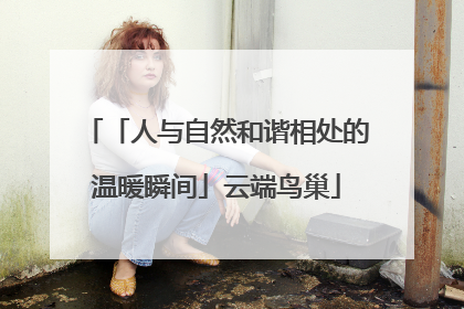 「人与自然和谐相处的温暖瞬间」云端鸟巢