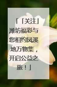 「关注」潍坊福彩与您相约凤溪地万物集，开启公益之旅！