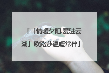 「情暖夕阳.爱驻云湖」欧路莎温暖常伴