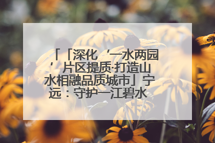 「深化‘一水两园’片区提质·打造山水相融品质城市」宁远：守护一江碧水 共享幸福河湖