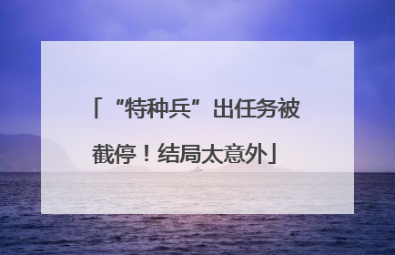 “特种兵”出任务被截停！结局太意外