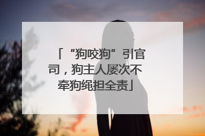 “狗咬狗”引官司，狗主人屡次不牵狗绳担全责