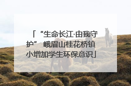 “生命长江·由我守护” 峨眉山桂花桥镇小增加学生环保意识