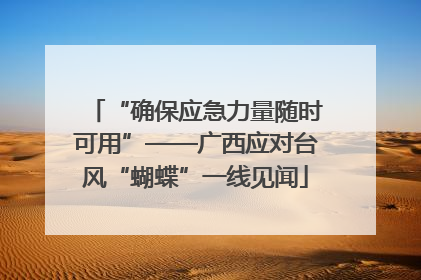 “确保应急力量随时可用”——广西应对台风“蝴蝶”一线见闻