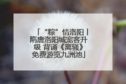 “粽”情洛阳丨隋唐洛阳城宠客升级 背诵《离骚》免费游览九洲池