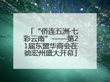 “侨连五洲·七彩云南”——第21届东盟华商会在德宏州盛大开幕