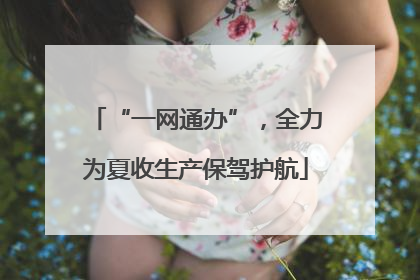 “一网通办”，全力为夏收生产保驾护航