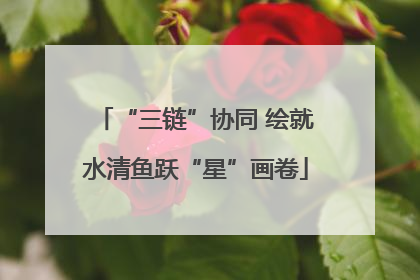 “三链”协同 绘就水清鱼跃“星”画卷