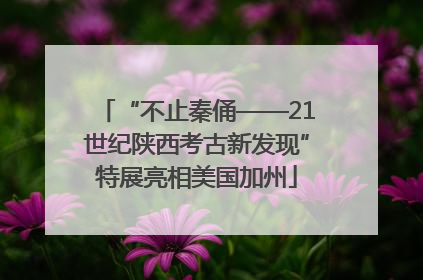 “不止秦俑——21世纪陕西考古新发现”特展亮相美国加州