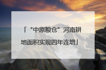 “中原粮仓”河南耕地面积实现四年连增