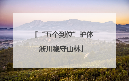 “五个到位”护体 淅川稳守山林