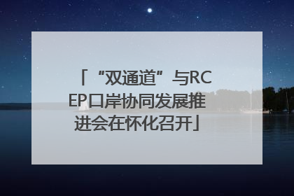 “双通道”与RCEP口岸协同发展推进会在怀化召开