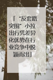 “反套路突围”小拉出行凭差异化优势在行业竞争中脱颖而出