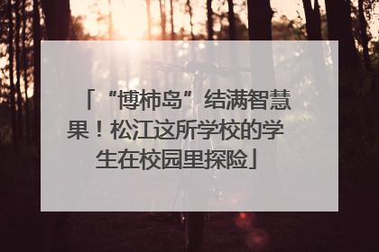 “博柿岛”结满智慧果！松江这所学校的学生在校园里探险