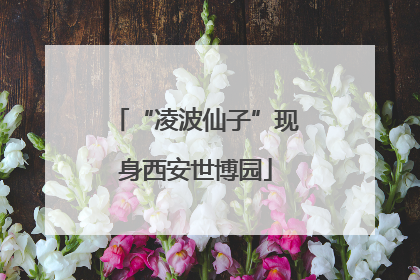“凌波仙子”现身西安世博园