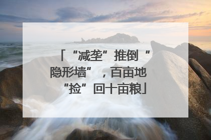 “减垄”推倒“隐形墙”，百亩地“捡”回十亩粮
