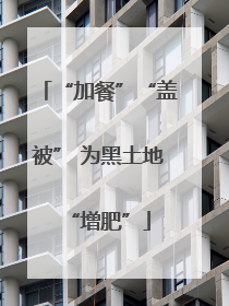 “加餐”“盖被” 为黑土地“增肥”