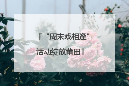 “周末戏相逢”活动绽放莆田