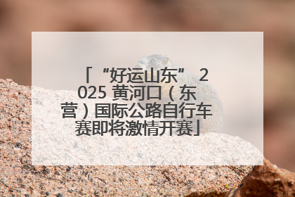 “好运山东” 2025 黄河口（东营）国际公路自行车赛即将激情开赛