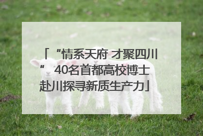 “情系天府 才聚四川” 40名首都高校博士赴川探寻新质生产力