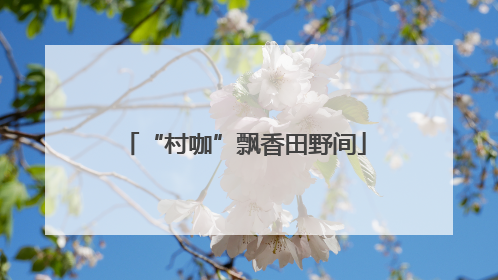 “村咖”飘香田野间
