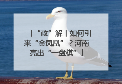“政”解丨如何引来“金凤凰”？河南亮出“一盘棋”