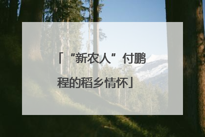 “新农人”付鹏程的稻乡情怀
