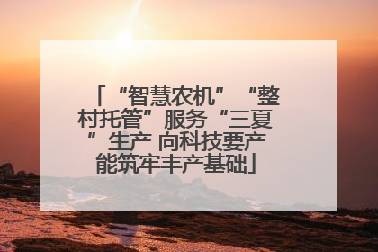 “智慧农机”“整村托管”服务“三夏”生产 向科技要产能筑牢丰产基础
