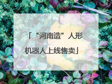 “河南造”人形机器人上线售卖