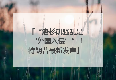 “洛杉矶骚乱是‘外国入侵’”！特朗普最新发声