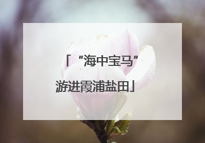 “海中宝马”游进霞浦盐田