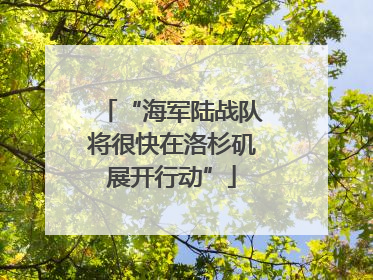 “海军陆战队将很快在洛杉矶展开行动”
