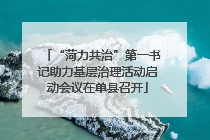 “菏力共治”第一书记助力基层治理活动启动会议在单县召开