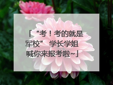 “考！考的就是军校” 学长学姐喊你来报考啦~
