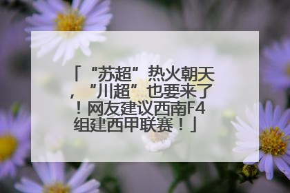 “苏超”热火朝天，“川超”也要来了！网友建议西南F4组建西甲联赛！