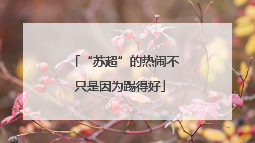 “苏超”的热闹不只是因为踢得好