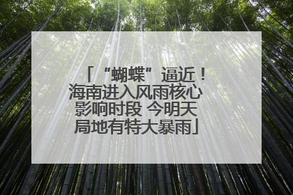 “蝴蝶”逼近！海南进入风雨核心影响时段 今明天局地有特大暴雨