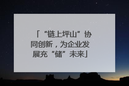 “链上坪山”协同创新，为企业发展充“储”未来