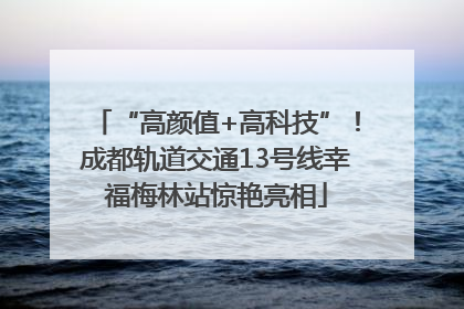 “高颜值+高科技”！成都轨道交通13号线幸福梅林站惊艳亮相