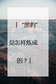 “黑豹”是怎样炼成的？