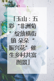 玉山：五彩“非洲菊”绽放横街镇 朵朵“振兴花”催生乡村共富图景