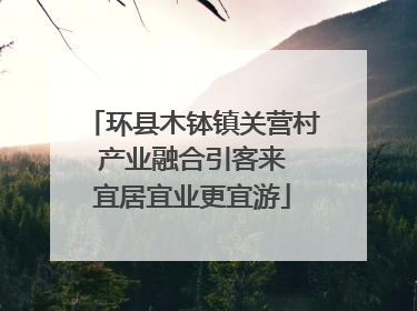 环县木钵镇关营村 产业融合引客来 宜居宜业更宜游