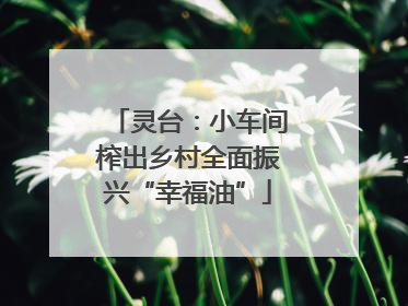 灵台：小车间榨出乡村全面振兴“幸福油”