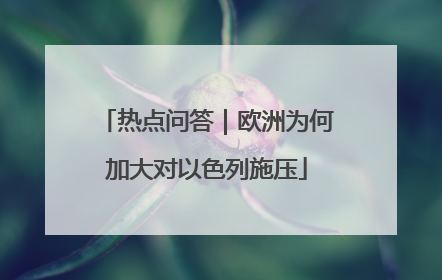 热点问答｜欧洲为何加大对以色列施压