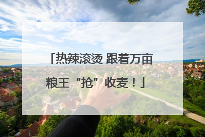 热辣滚烫 跟着万亩粮王“抢”收麦！