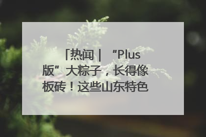 热闻｜“Plus版”大粽子，长得像板砖！这些山东特色粽子你吃过吗？
